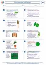 Biology - High School - Worksheet: Plant structure and function