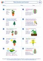 plant structure and function worksheet