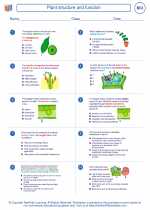 Biology - High School - Worksheet: Plant structure and function