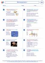 Biology - High School - Worksheet: Microorganisms I