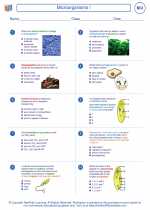 Biology - High School - Worksheet: Microorganisms I