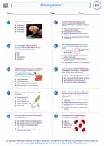 Biology - High School - Worksheet: Microorganisms I