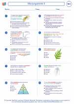 Biology - High School - Worksheet: Microorganisms II