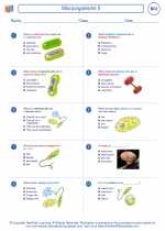 Biology - High School - Worksheet: Microorganisms II