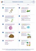 Biology - High School - Worksheet: Introduction to animals