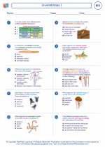 Biology - High School - Worksheet: Invertebrates I