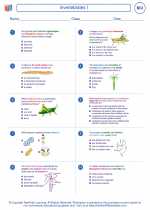Biology - High School - Worksheet: Invertebrates I