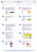 Biology - High School - Worksheet: Invertebrates II