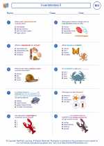 Biology - High School - Worksheet: Invertebrates II