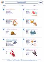 Biology - High School - Worksheet: Invertebrates II