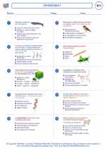 Biology - High School - Worksheet: Vertebrates I