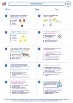 Biology - High School - Worksheet: Vertebrates I