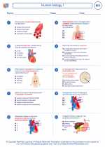 Biology - High School - Worksheet: Human biology I