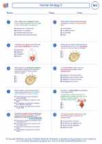 Biology - High School - Worksheet: Human biology II