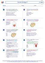 Biology - High School - Worksheet: Human biology II