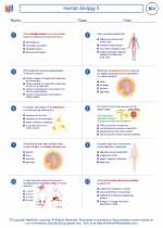 Biology - High School - Worksheet: Human biology II