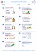 Biology - High School - Worksheet: Lab investigations/scientific method