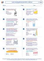 Biology - High School - Worksheet: Lab investigations/scientific method