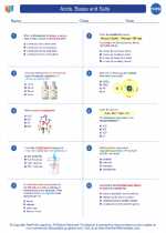 Chemistry - High School - Worksheet: Acids, Bases and Salts