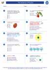 Physics - High School - Worksheet: The Science of Physics