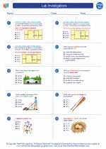 Physics - High School - Worksheet: Lab Investigations