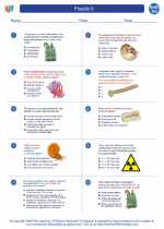 Earth Science - High School - Worksheet: Fossils II