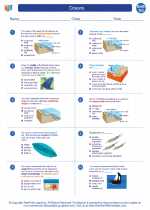 Earth Science - High School - Worksheet: Oceans