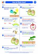 Science - Third Grade - Worksheet: How do plants grow?