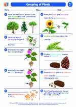 grouping of plants third grade science worksheets and study guides