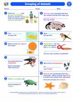 Science - Third Grade - Worksheet: Grouping of Animals
