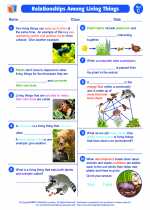 Science - Third Grade - Worksheet: Relationships among living things