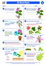 Science - Second Grade - Worksheet: All About Plants