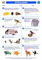 Science - Second Grade - Worksheet: All About Animals