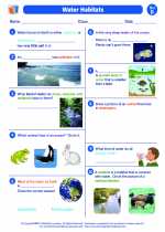 Science - Second Grade - Worksheet: Water Habitats