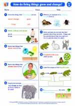 Science - Second Grade - Worksheet: How living things grow and change?