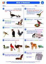 Science - Second Grade - Worksheet: Mammals and birds