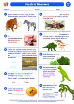 Science - Second Grade - Worksheet: Fossils and Dinosaurs