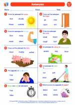 English Language Arts - Third Grade - Worksheet: Antonyms