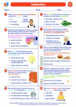 English Language Arts - Fifth Grade - Worksheet: Summarize