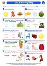 living and nonliving things 1st grade science worksheets and answer keys study guides and vocabulary sets