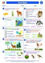 Science - First Grade - Worksheet: Food Chains