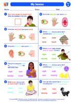 Science - First Grade - Worksheet: My senses