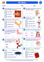 human body 1st grade science worksheets and answer keys study guides and vocabulary sets