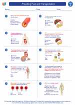 Science - Sixth Grade - Worksheet: Providing Fuel and Transportation