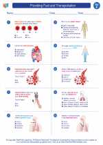 Science - Sixth Grade - Worksheet: Providing Fuel and Transportation