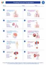 Science - Sixth Grade - Worksheet: Providing Fuel and Transportation