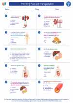 Science - Sixth Grade - Worksheet: Providing Fuel and Transportation