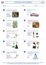 Biology - High School - Worksheet: Food Chains and Food Webs