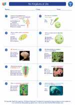 Science - Sixth Grade - Worksheet: Six Kingdoms of Life