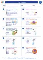 Science - Sixth Grade - Worksheet: Cell Transport